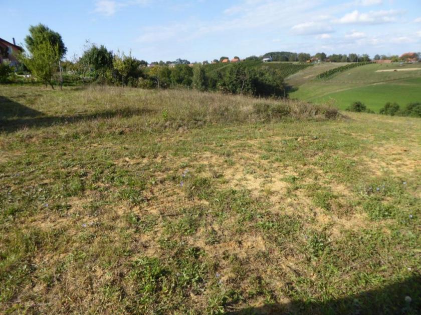 Grundstück kaufen Radenci max j81a0wwrsvj8