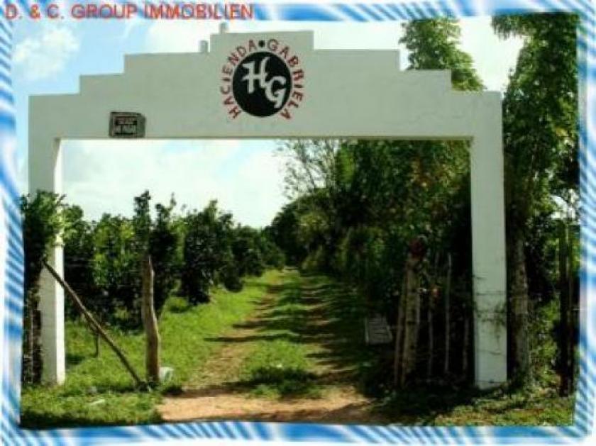 Grundstück kaufen Ramon Santana max 9kp26mrobanv