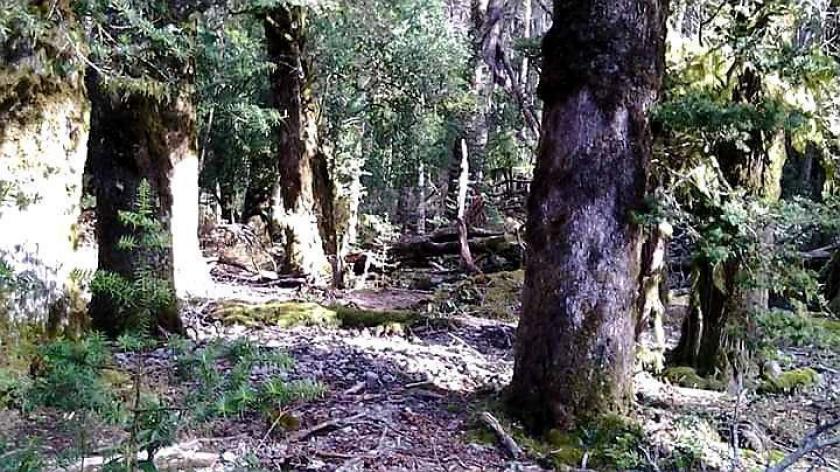 Grundstück kaufen Rio Engano max ae4c8m1tm06d