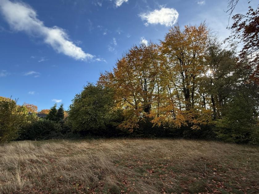 Grundstück kaufen Roetgen max eyjgauovb894