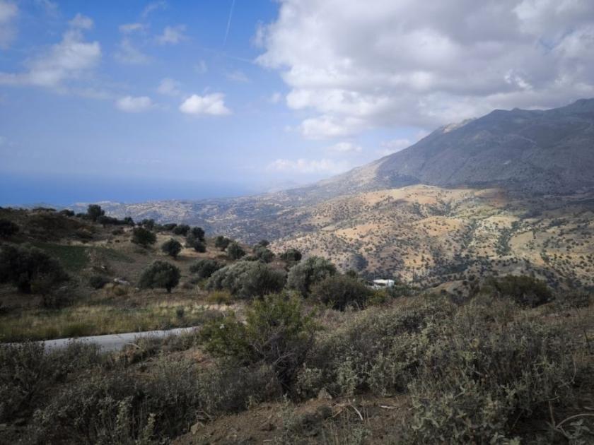 Grundstück kaufen Sakturia max 2aruk3ztreow