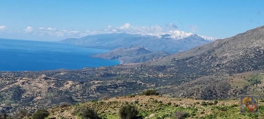 Grundstück kaufen Sakturia max dj98mcuo7nls