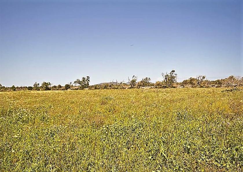 Grundstück kaufen Santanyí max urv7i8zny03o