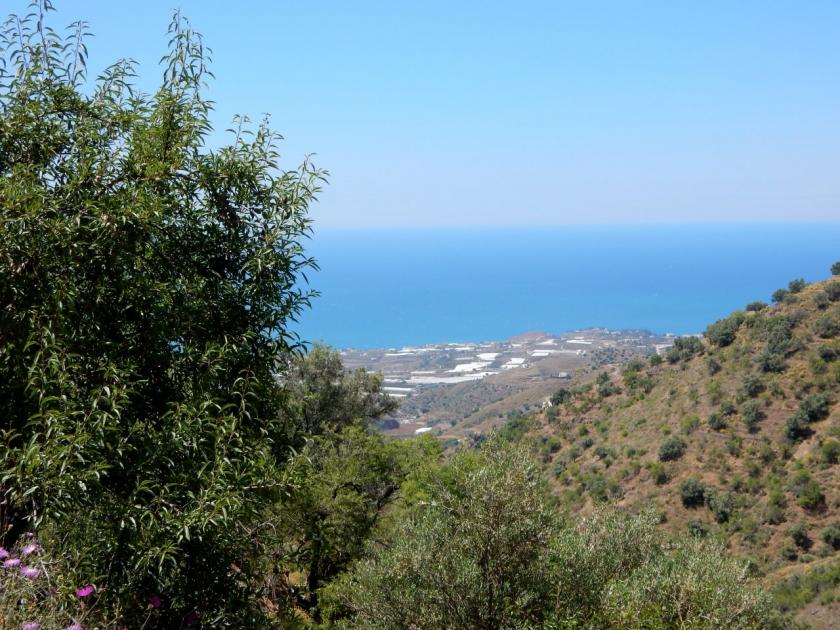 Grundstück kaufen Sayalonga max if8sl0mu93vg