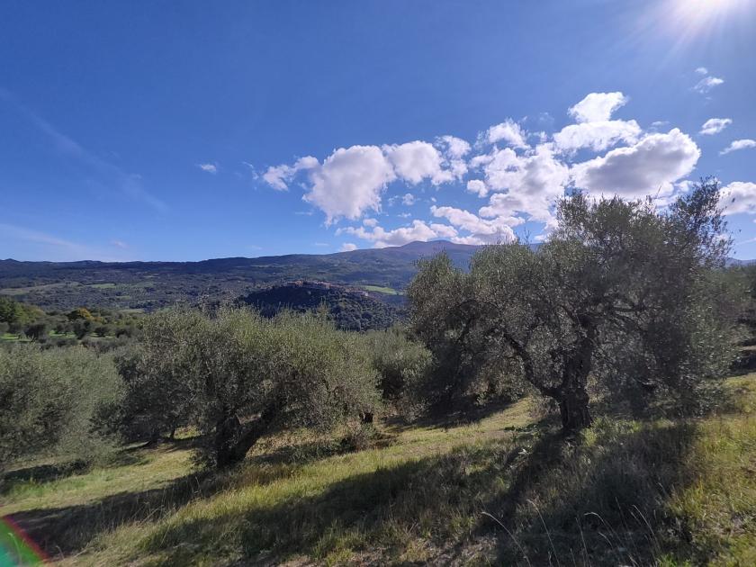 Grundstück kaufen seggiano max tpi632k8ud4s