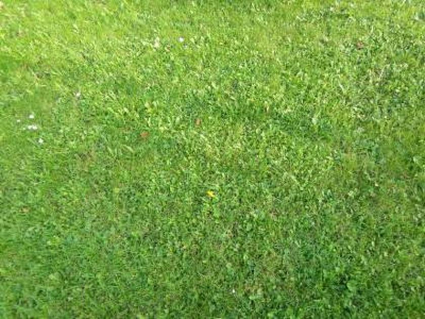 Grundstück kaufen Selfkant max qv2tmdqpohrl