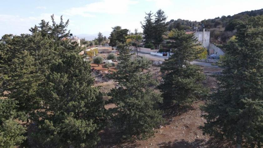 Grundstück kaufen Sellia im Apokoronos max 2ca2046mi701