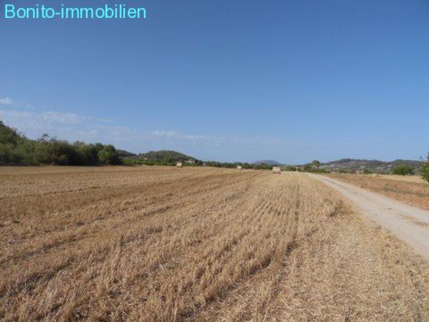 Grundstück kaufen Sineu max 7d2wbzzn8ayr