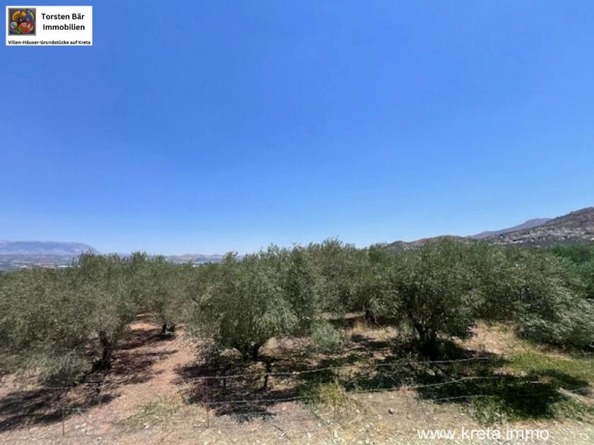 Grundstück kaufen Sivas max 51grfy5unvng