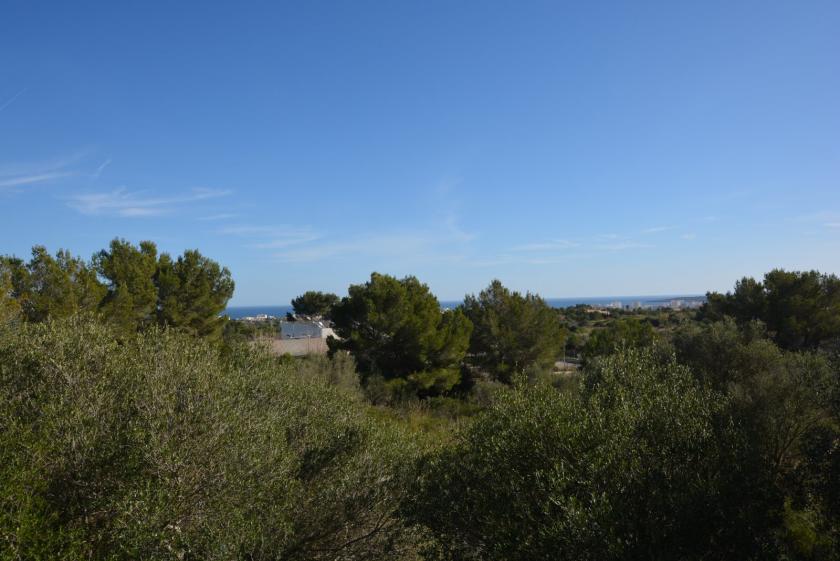 Grundstück kaufen Son Servera max oruyi9w93omh