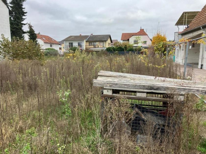 Grundstück kaufen Speyer max 50s43idlvqm0
