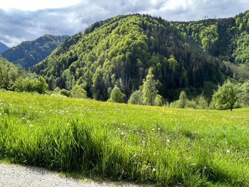 Grundstück kaufen St. Gallen max 0flaq98f5ezk