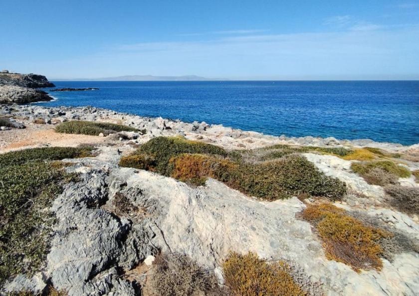 Grundstück kaufen Stavros max 46eldy85fq75