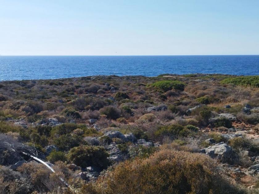 Grundstück kaufen Stavros max aj8tk020zkgs