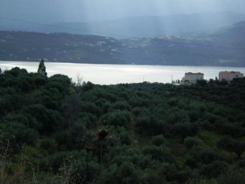 Grundstück kaufen Sternes max fmkpxmf0v13p