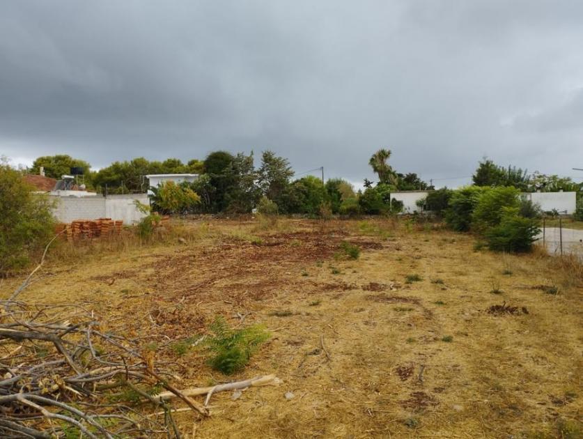 Grundstück kaufen Sternes max mcf17xdglhod