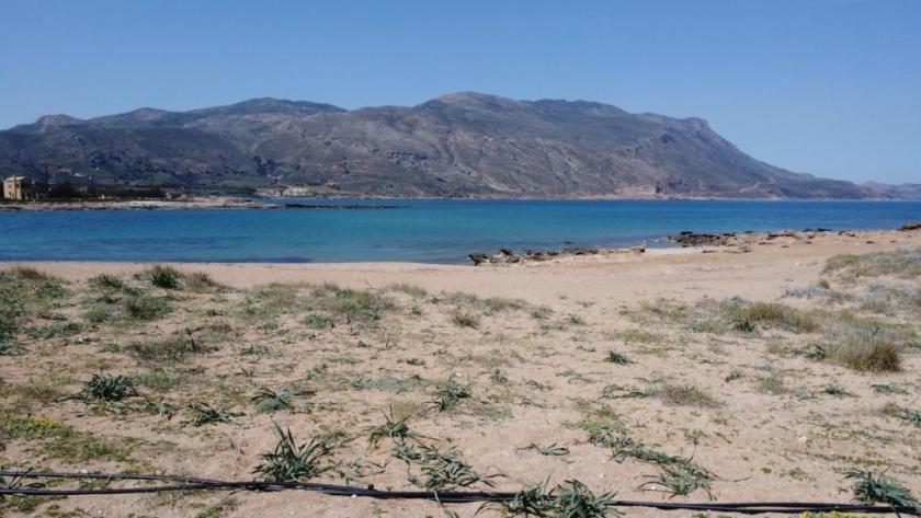 Grundstück kaufen Trachilos max th2ku13wq6rs