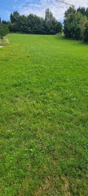 Grundstück kaufen Treubach max 84xzxg0sefvb