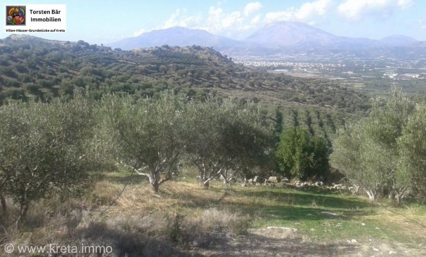 Grundstück kaufen Vori max panhw5dcetq7