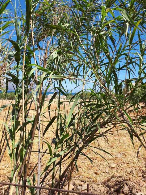 Grundstück kaufen Voukolies max 6ceov7in5kit