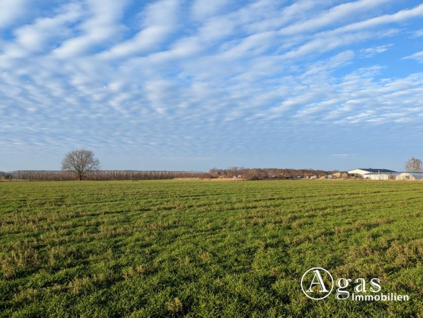 Grundstück kaufen Werder (Havel) max p97081zolgem