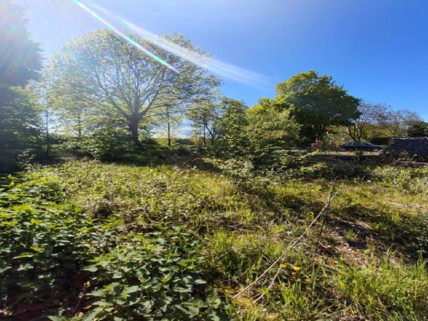 Grundstück kaufen Willich max 2dwknbe6hylr