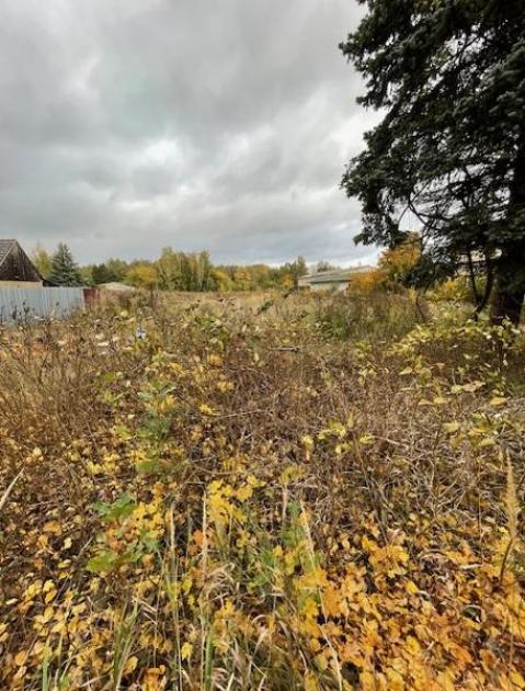 Grundstück kaufen Zehdenick max 1tls3glox2z0