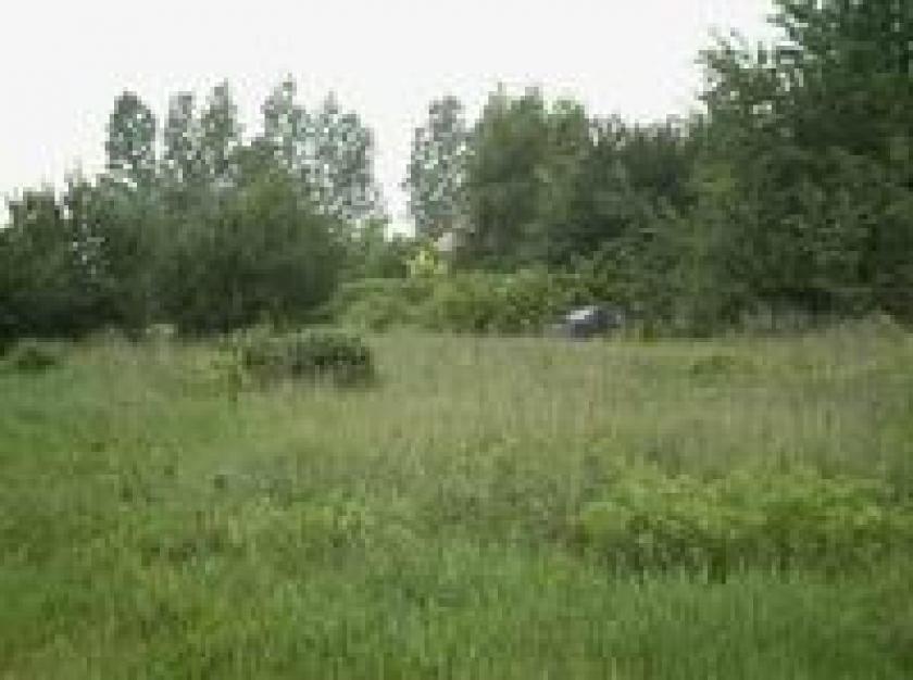 Grundstück kaufen Zörnigall max g7z69d52i9sl