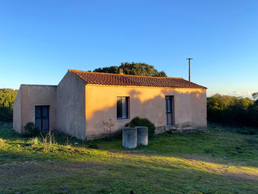 Haus kaufen Aglientu max gkwl4cwoeqx9