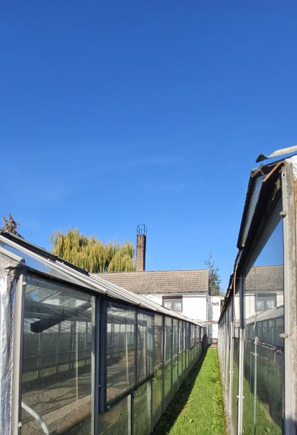 Haus kaufen Aken (Elbe) max 2qj6lnmm4ora