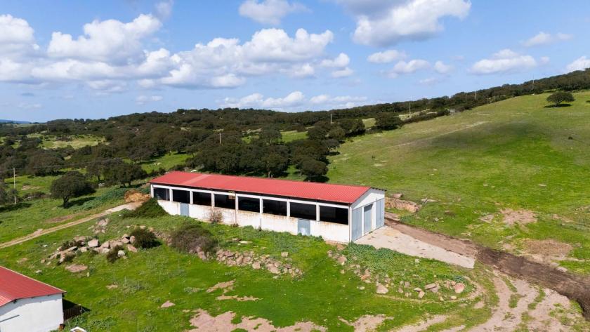 Haus kaufen Alghero max yz3ptiawrcd6