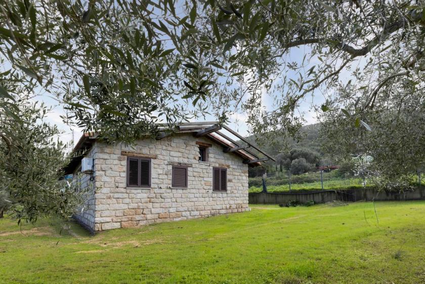 Haus kaufen Arbus max mx6au9f9rs58