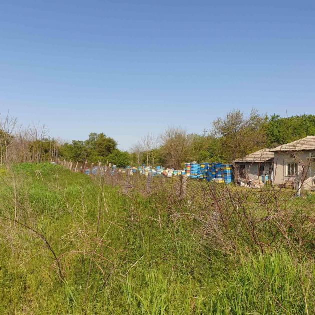 Haus kaufen Bilo max bn14pjoa6tiy