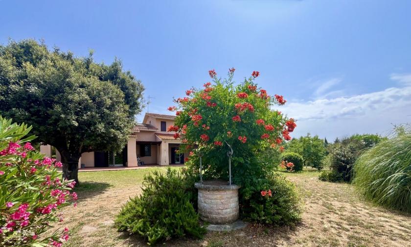 Haus kaufen Braccagni max h5xmy67w8n7f