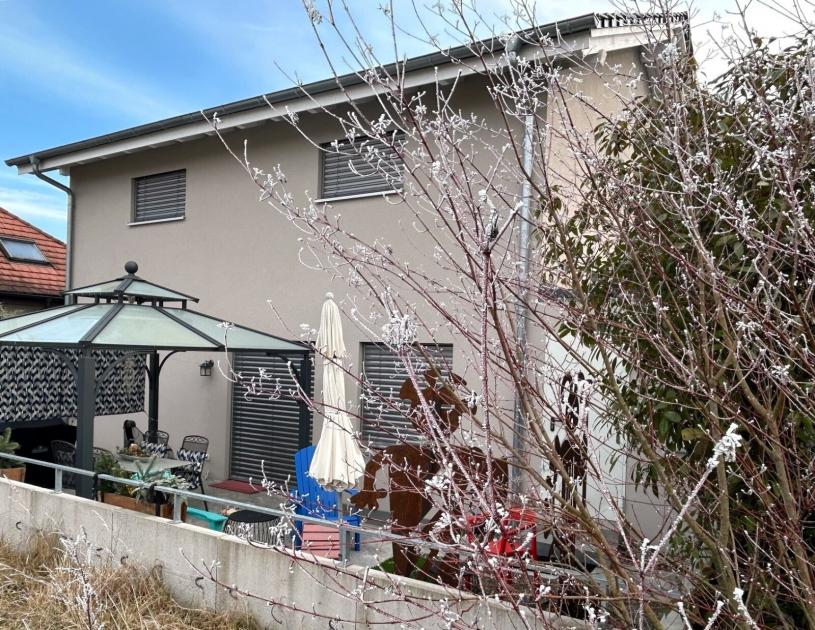 Haus kaufen Büsingen am Hochrhein max p94lnxvxjsi9