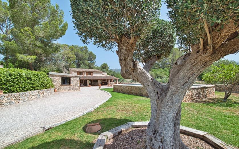 Haus kaufen Calvia max zkjgwgncdux7