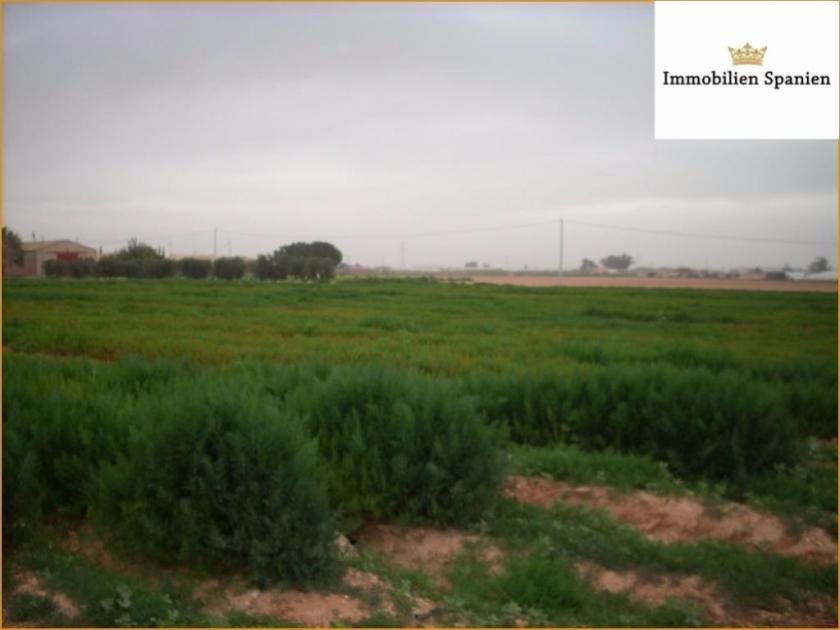 Haus kaufen Cartagena max kfrqtrfdnaoq