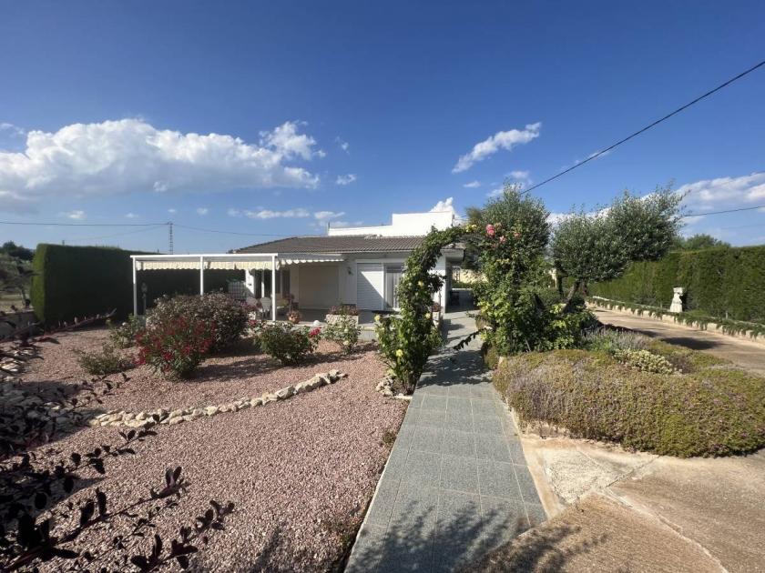 Haus kaufen Castalla max led2qyerdtif