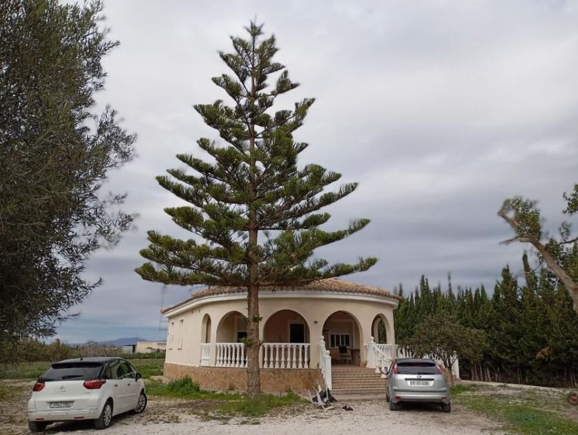 Haus kaufen Daya Vieja max pl83gdpnt9k2