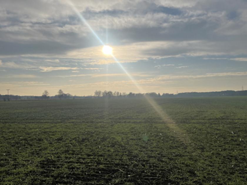 Haus kaufen Doberlug-Kirchhain max 460sgjvwr9fq