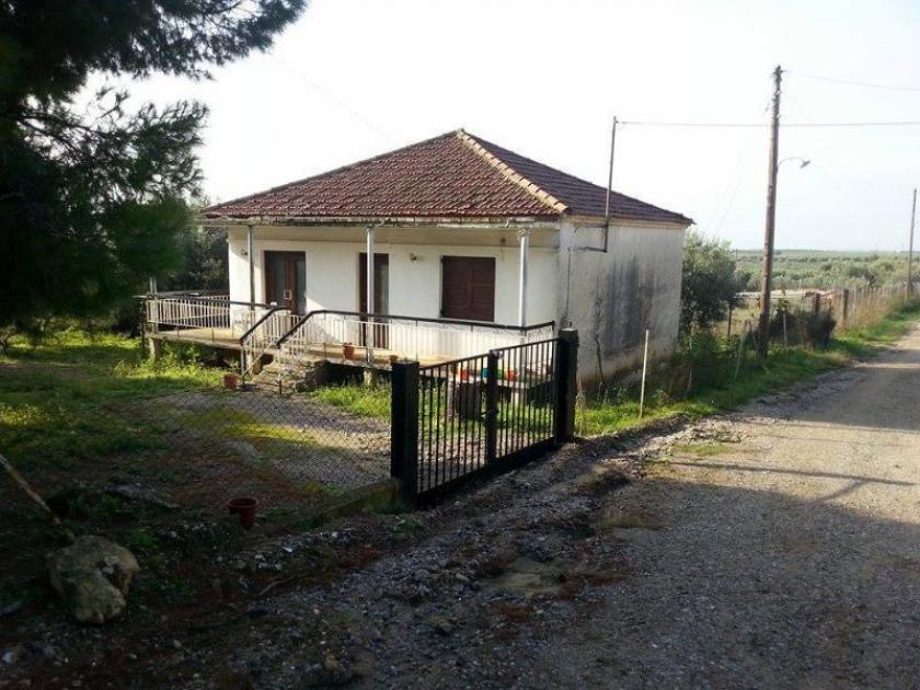 Haus kaufen Eleochoria - Chalkidiki max ypc459ugj7t1