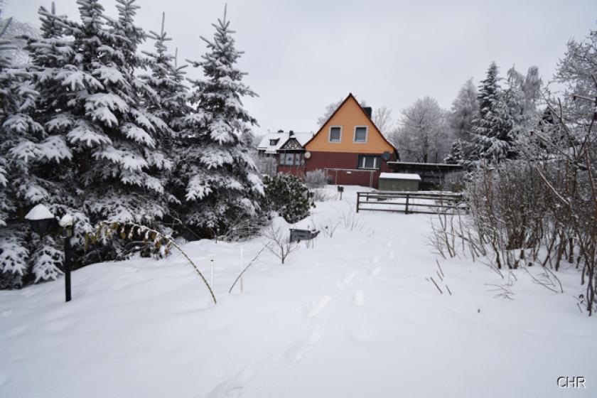 Haus kaufen Ellrich max gjq65uvydkx0