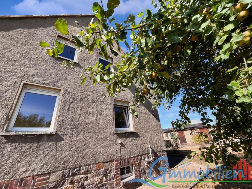 Haus kaufen Frohburg max fetpenazyamn