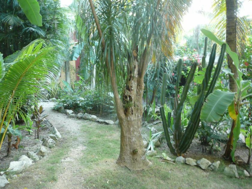 Haus kaufen max v0ysngcd552d