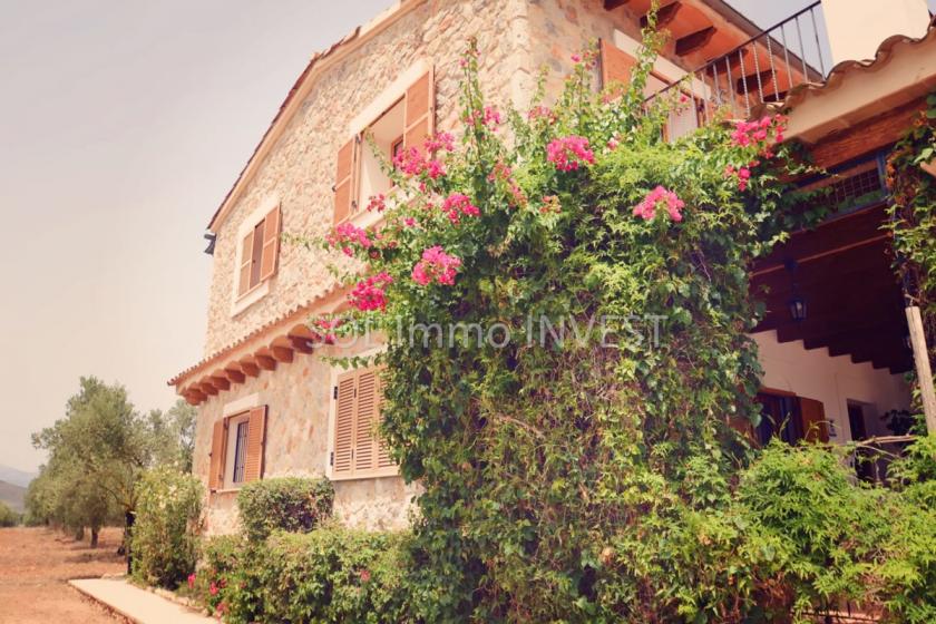 Haus kaufen Inca max x47sydigfat3