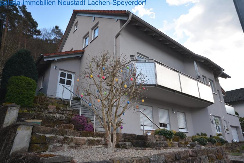 Haus kaufen Lambrecht (Pfalz) max 193d56fo5fih