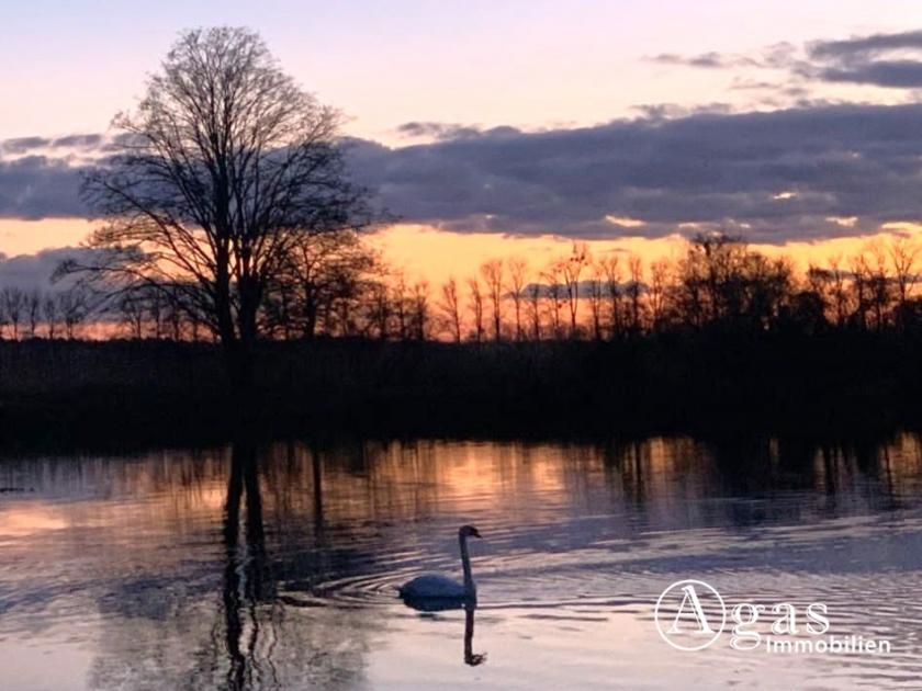Haus kaufen Liebenwalde max vwphbbu7p8ka