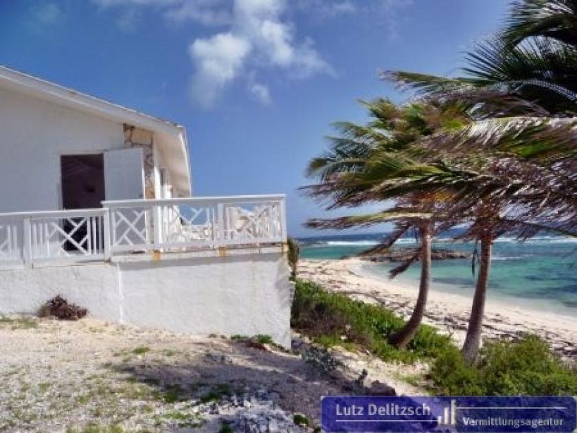 Haus kaufen Long Island max qlo83jby73at