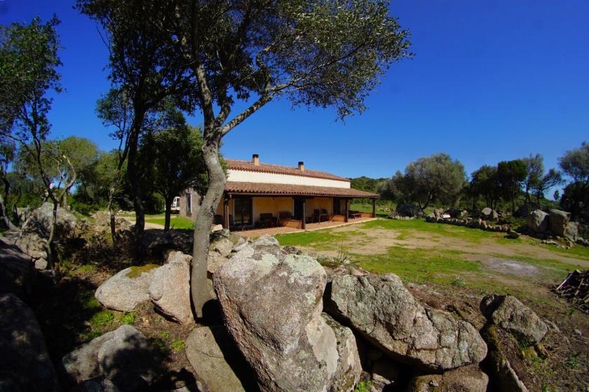 Haus kaufen Luogosanto max z6s72lkfynfo