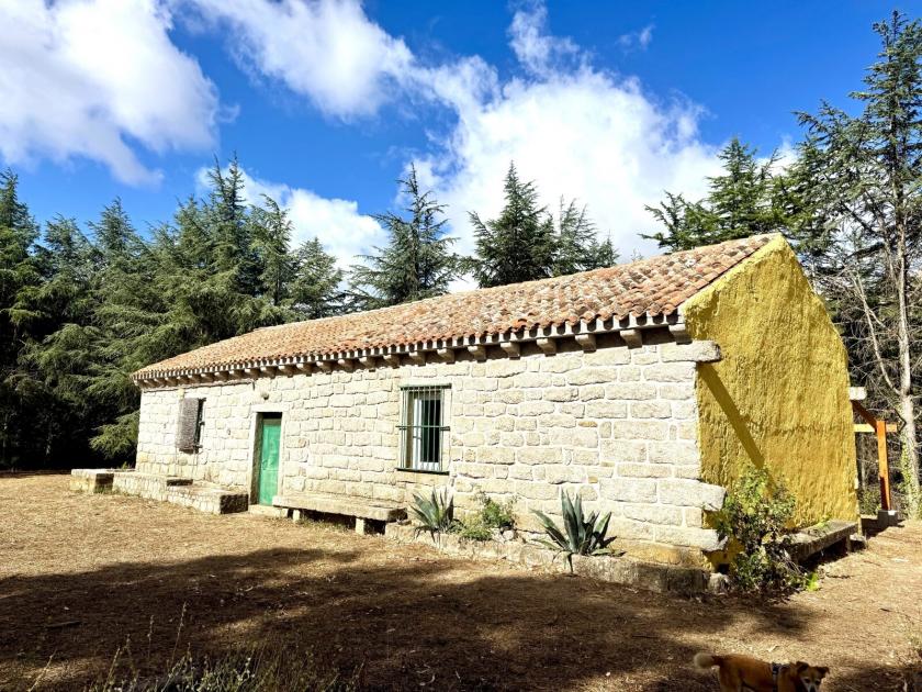 Haus kaufen Luras max w1c1nh8udyo6